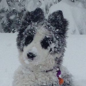 Meet your Posher, Wendy